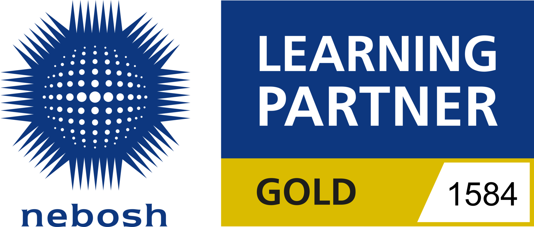 NEBOSH Learning Partner in India